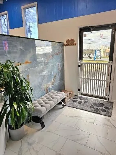 Our lobby at Blu Pet Spa